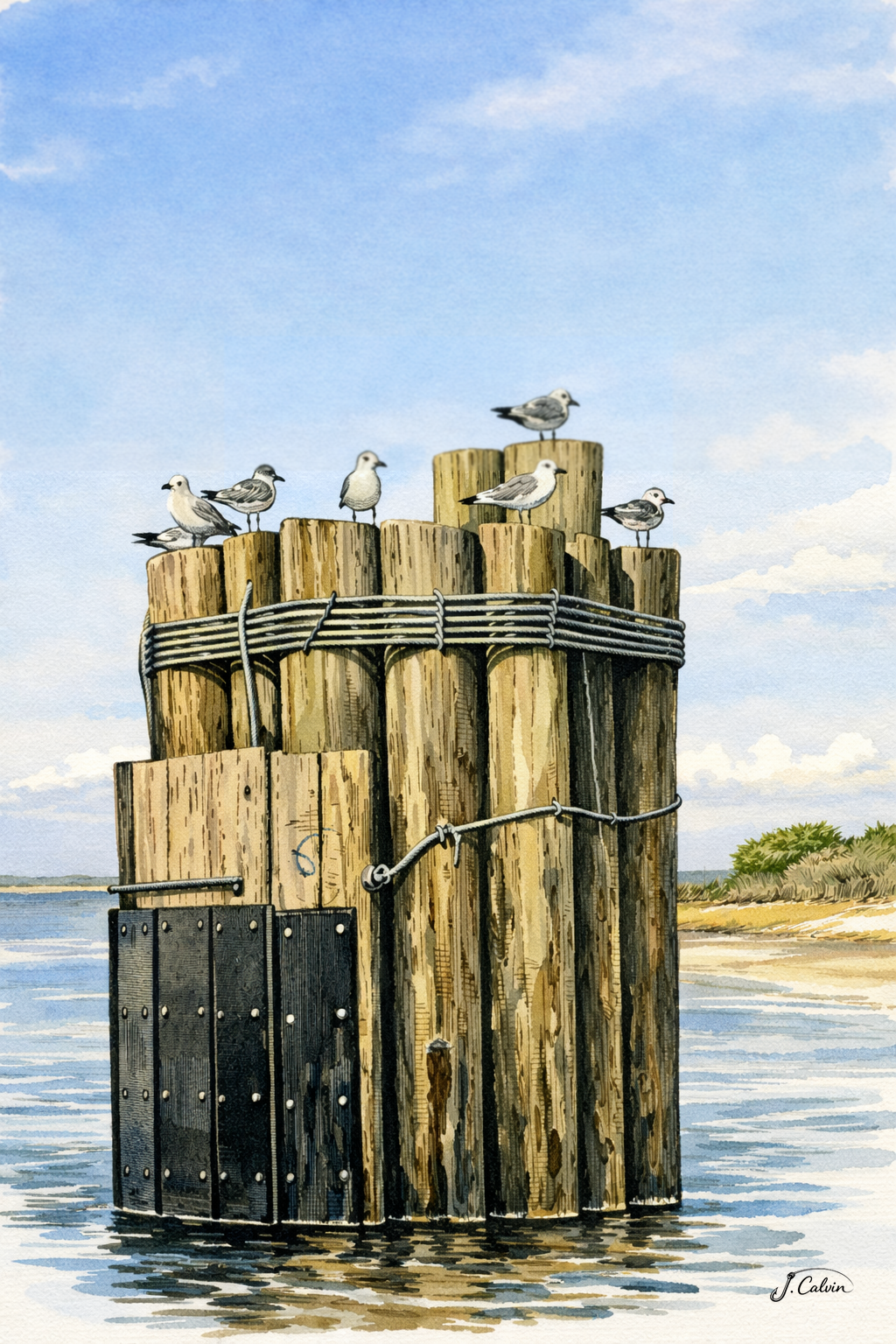 6 Carolina Beaches Note Cards