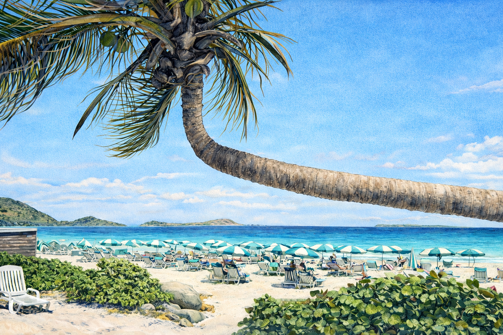 8 Tropical Note Cards