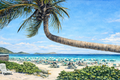 Bending Palm