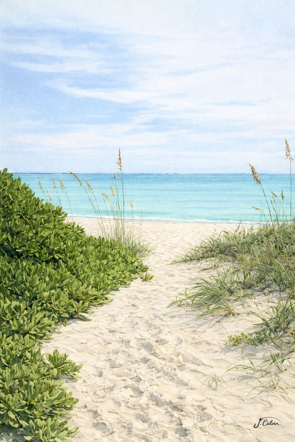 8 Tropical Note Cards