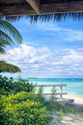 Beach View
